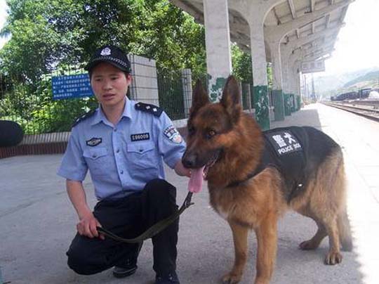 警犬临时护卫
